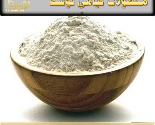 قیمت نوره اسلامی