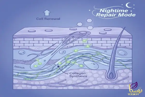 پوست زیبا و خواب مناسب